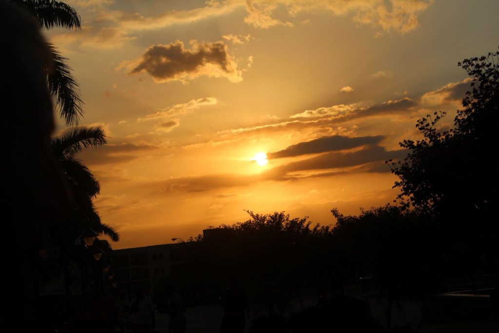 Sunset at Emancipation Park - Kingston