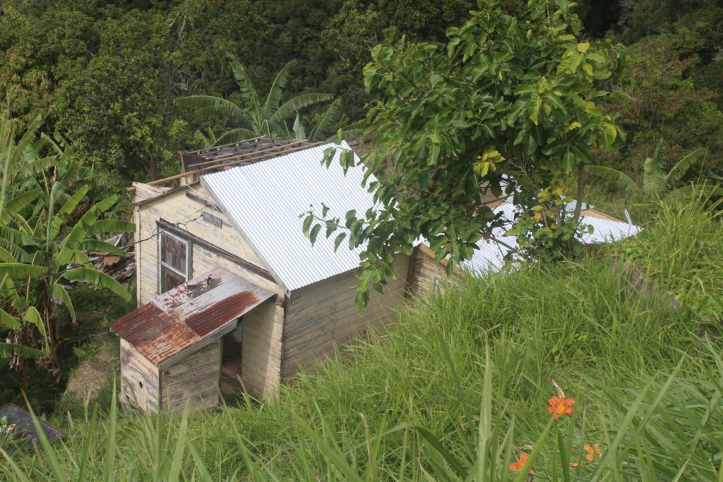 Abandoned house in New Castle - Blue Mountains - Jamaica