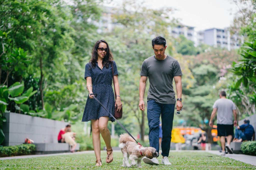 Couple walking dog in the park