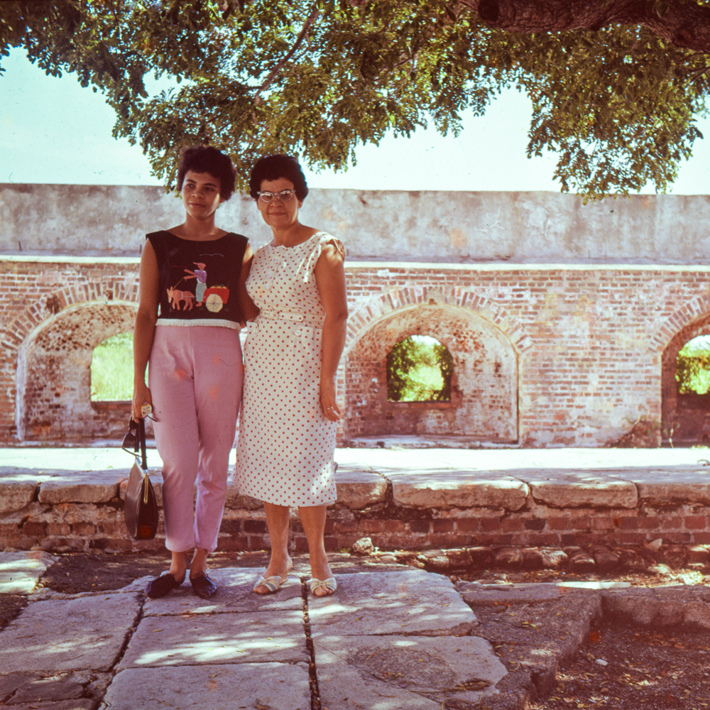 Monique Abbott's Family Members in Jamaica