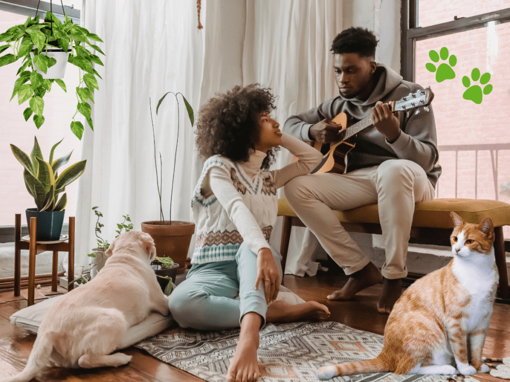 Couple sitting in living room with pets