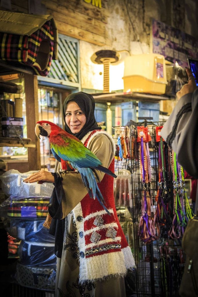 Qatar Woman standing next to colourful bird in Souq Waqif, Doha