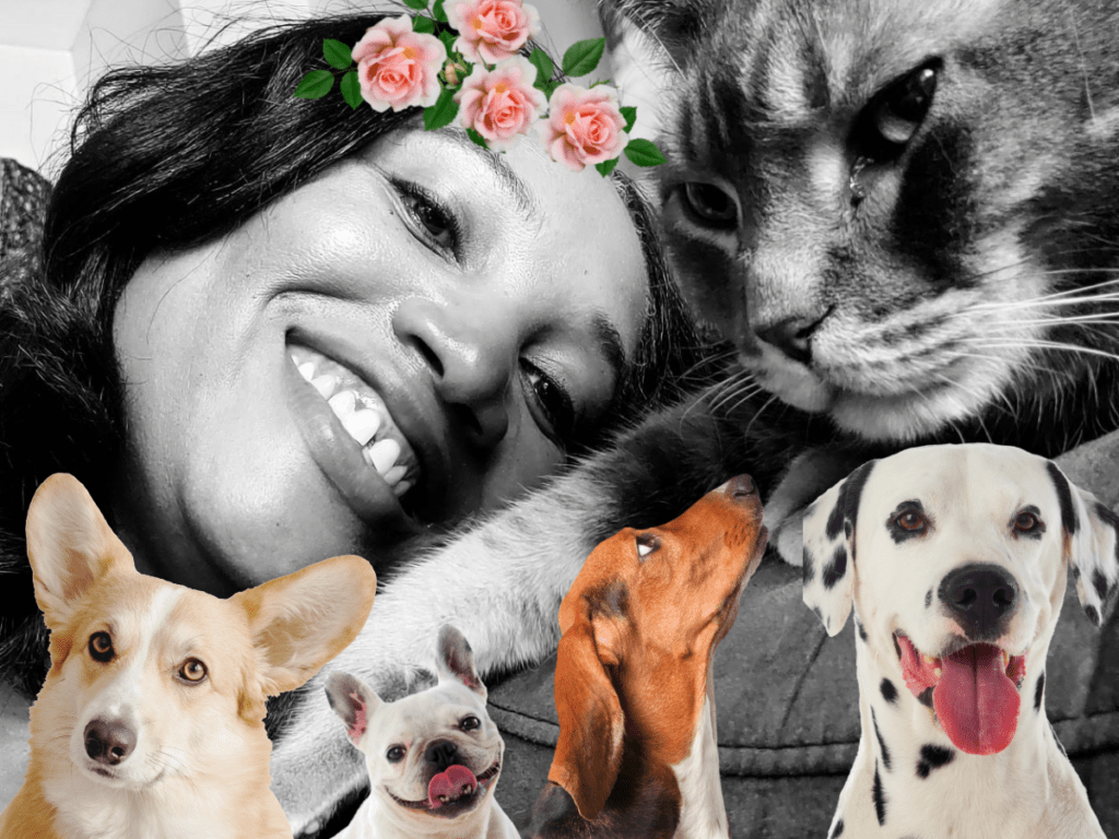 Monique Abbott surrounded by pets on a trusted house sit
