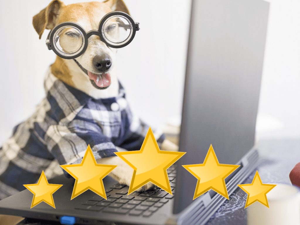 Funny Image of Dog Wearing Glasses Using Computer