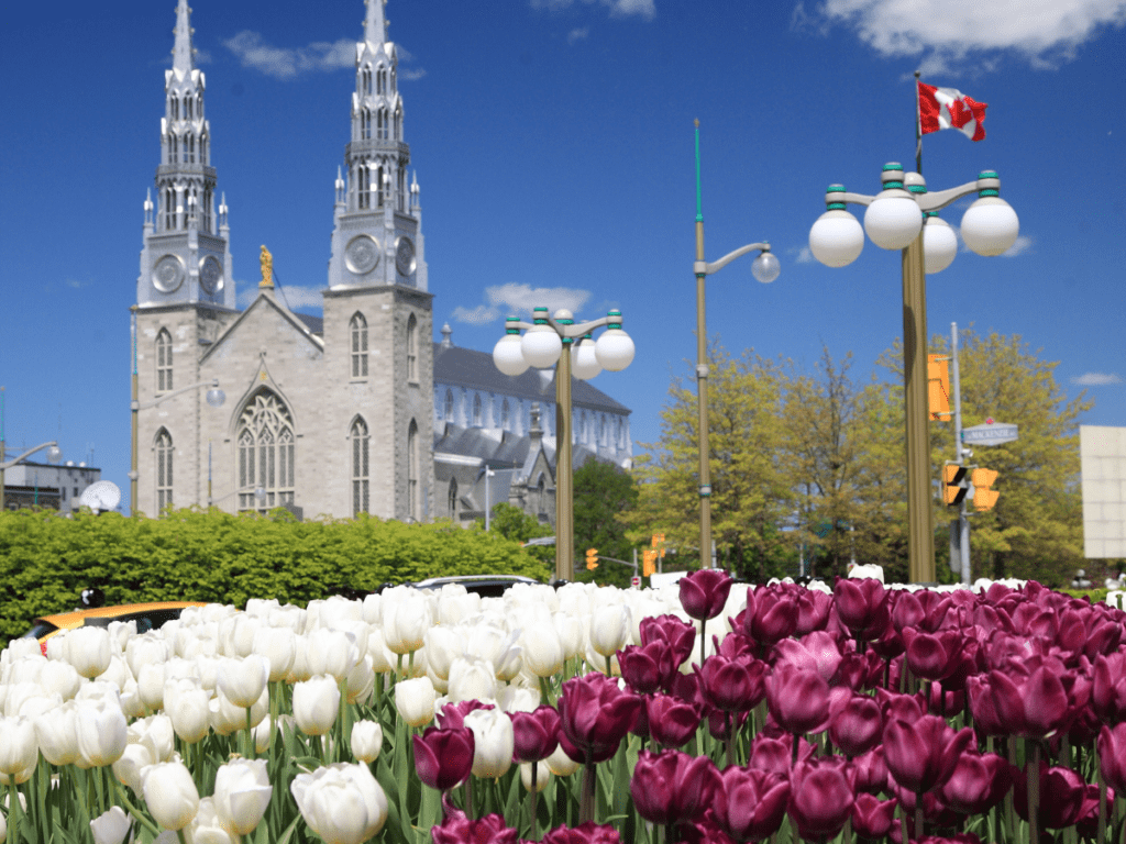 Notre Dame Cathedral - Ottawa - Image Courtesy of Canva Pro