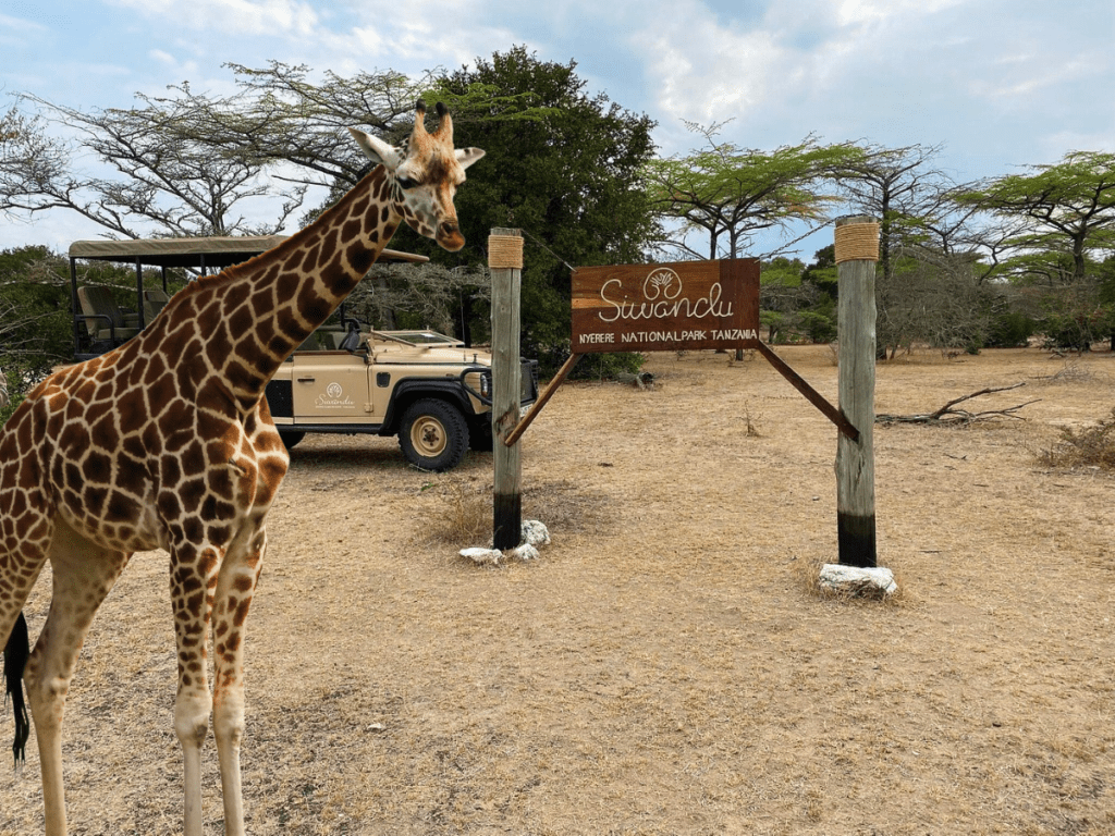 Siwandu Camp, Tanzania