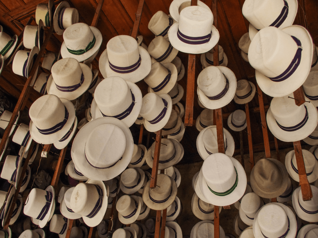 Panama Hats on display in store