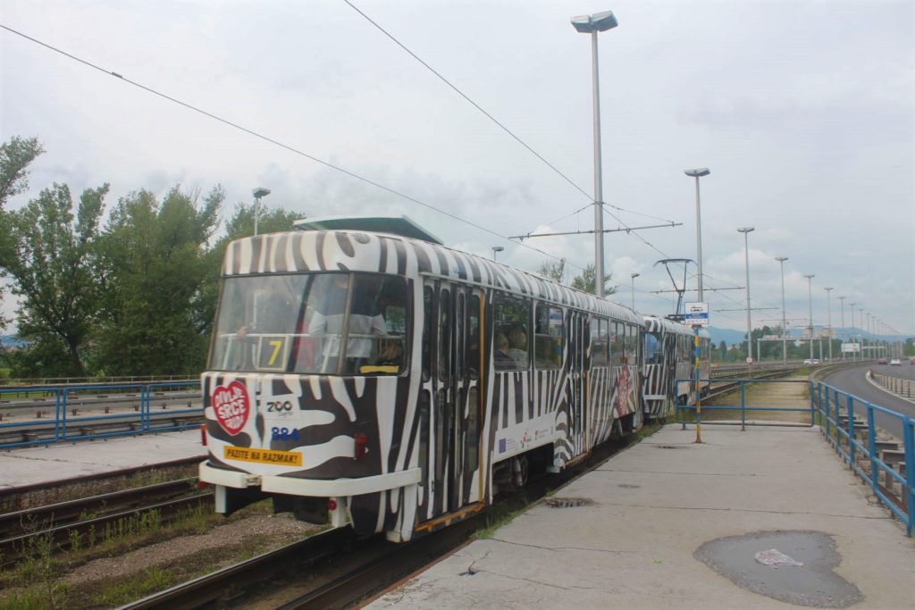 The Communist Era Tram painted in black & white zebra stripes, Zagreb, Croatia