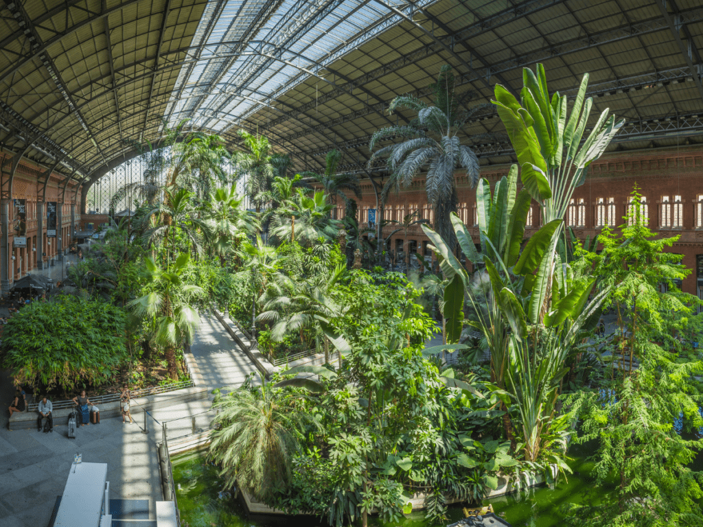 Atocha Railway Station, Madrid - Interior Tropical Garden