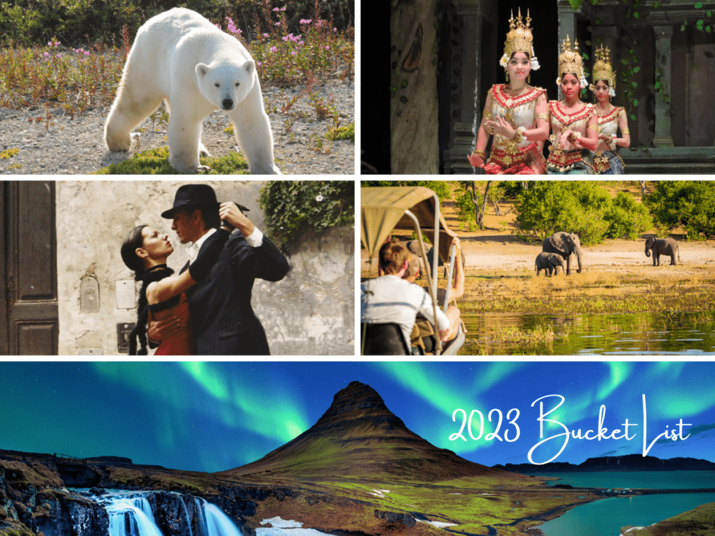 Photo Collage of Polar Bears of Churchill, Women of Cambodia, Dancing Argentinian Couple, Elephants in the wild in Botswana and the Northern Lights in Iceland