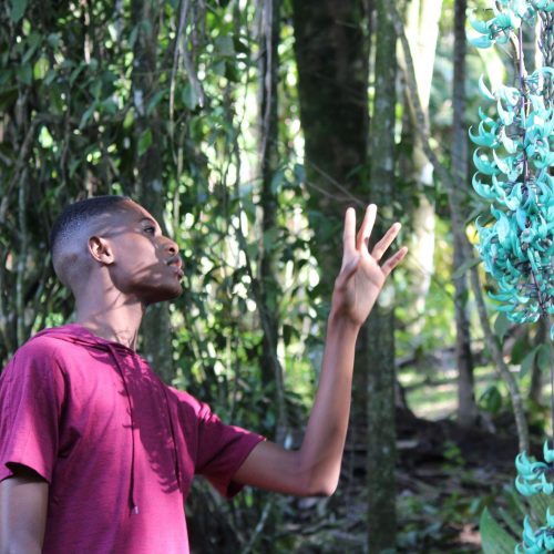 De Marley Cohen about to touch the Jade Vine Flower at Castleton Gardens, Jamaica