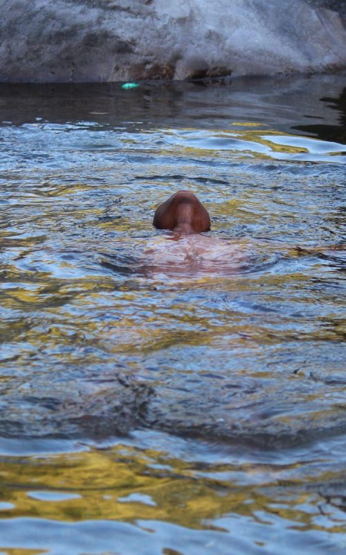 De Marley Cohen swimming in river at Castleton Gardens, Jamaica